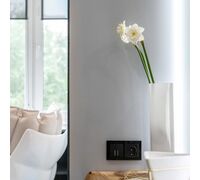 Розетка с заземлением (черный матовый) / W1171008