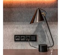 Розетка с заземлением (черный матовый) / W1171008