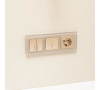 Розетка с заземлением (шампань рифленый) / W1171010