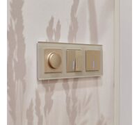 Выключатель двухклавишный с подсветкой (шампань рифленый) / W1120110