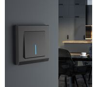 Выключатель одноклавишный проходной с подсветкой (черный матовый) / W1112108