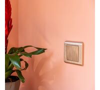 Выключатель одноклавишный проходной (шампань рифленый) / W1112010