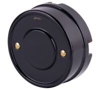 Винты для распределительной коробки / TV розетки 2 шт. (золото) Ретро / WL18-22-01