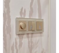 Диммер (шампань рифленый) / W1142010