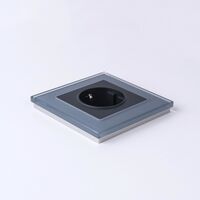 Розетка с заземлением (черный матовый) / W1171008