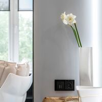 Розетка с заземлением, безвинтовой зажим (черный матовый) / W1171308