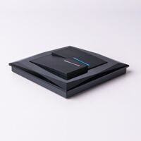 Выключатель двухклавишный с подсветкой (черный матовый) / W1120108