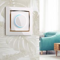 Рамка на 1 пост (белый/золото, Snabb) / W0011933