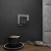 Рамка на 1 пост (черный, Favorit) / W0011108