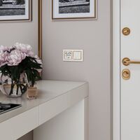 Рамка на 2 поста (слоновая кость/золото,Snabb) / W0021932