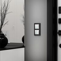 Выключатель двухклавишный с подсветкой (белый, Hammer) / W1220101