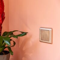 Выключатель одноклавишный проходной (шампань рифленый) / W1112010