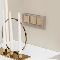 Выключатель одноклавишный с подсветкой (шампань рифленый) / W1110110