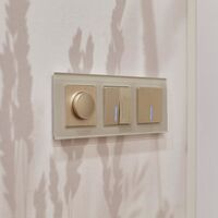 Выключатель одноклавишный с подсветкой (шампань рифленый) / W1110110