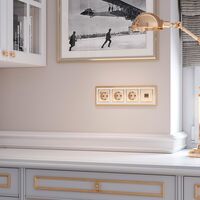 Розетка с заземлением (шампань рифленый) / W1171010