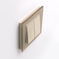 Рамка на 1 пост (шампань, Favorit) / W0011111