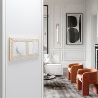 Рамка на 2 поста (белое золото, Antik) / W0021523