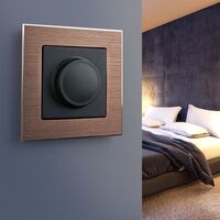 Рамка на 1 пост (коричневый алюминий, Aluminium) / W0011714