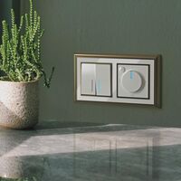 Рамка на 2 поста (бронза/белый, Palacio) / WL17-Frame-02