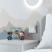 Выключатель одноклавишный с подсветкой (белый матовый) / W1110161