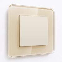 Выключатель одноклавишный (айвори матовый) / W1110062