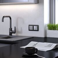 Рамка на 2 поста (черный, Acrylic) / W0022708