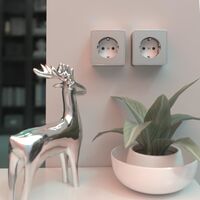 Розетка с заземлением Gallant (серебряный) / W5071006