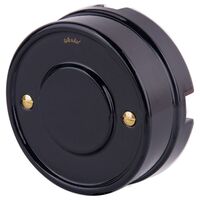 Винты для распределительной коробки / TV розетки 2 шт. (золото) Ретро / WL18-22-01