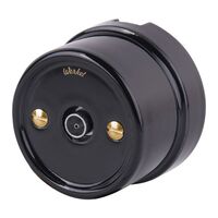 Винты для распределительной коробки / TV розетки 2 шт. (золото) Ретро / WL18-22-01