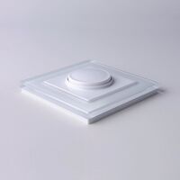 Диммер (белый) / W1142001