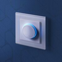 Диммер с подсветкой (белый) / W1142101