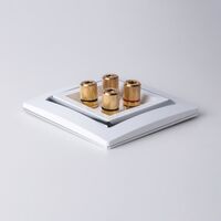 Акустическая розетка (белый) / W1185001