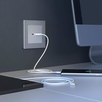 Розетка USB тип A+C (серебряный) / W1171806