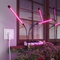 Розетка Wi-Fi (белый) / W1171601