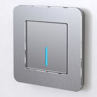 Рамка на 1 пост (алюминий, Platinum) / W0012606