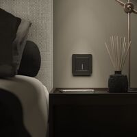 Рамка на 1 пост (черный, Platinum) / W0012608