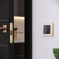 Рамка на 1 пост (шампань, Platinum) / W0012611