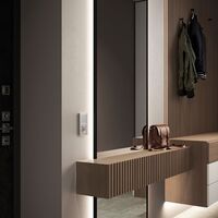 Рамка на 2 поста (алюминий, Platinum) / W0022606