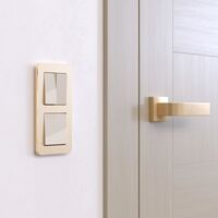 Рамка на 2 поста (шампань, Platinum) / W0022611