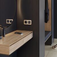 Рамка на 2 поста (шампань, Platinum) / W0022611