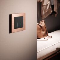 Рамка на 1 пост (бронза, Aluminium) / W0011712