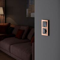 Рамка на 2 поста (бронза, Aluminium) / W0021712