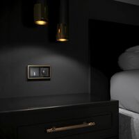 Рамка на 2 поста (черный/латунь, Baguette) / W0022852