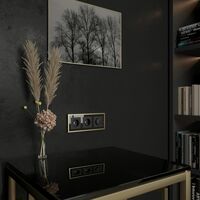 Рамка на 3 поста (черный/латунь, Baguette) / W0032852