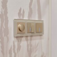 Диммер (шампань рифленый) / W1142010