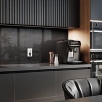 Розетка двойная с заземлением (белый матовый) / W1172061