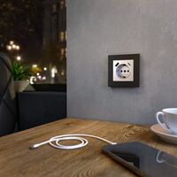 Розетка с заземлением, шторками и USB тип A+C (серебряный) / W1171706