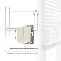 Выключатель двухклавишный с самовозвратом (айвори матовый) / W1122462