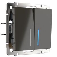 Выключатель двухклавишный с подсветкой (серо-коричневый) / WL07-SW-2G-LED