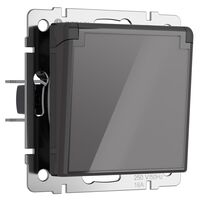 Розетка влагозащ. с зазем. с защит. крышкой и шторками (графит акрил) / W1171244